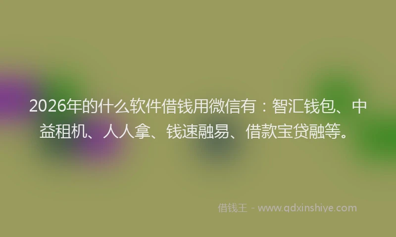 2026年的什么软件借钱用微信有：智汇钱包、中益租机、人人拿、钱速融易、借款宝贷融等。
