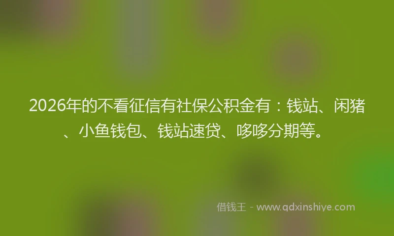 2026年的不看征信有社保公积金有：钱站、闲猪、小鱼钱包、钱站速贷、哆哆分期等。
