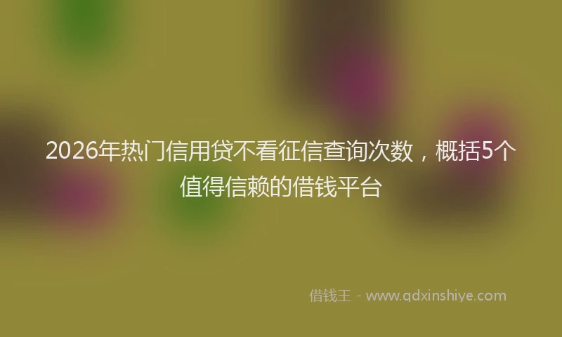 2026年热门信用贷不看征信查询次数，概括5个值得信赖的借钱平台