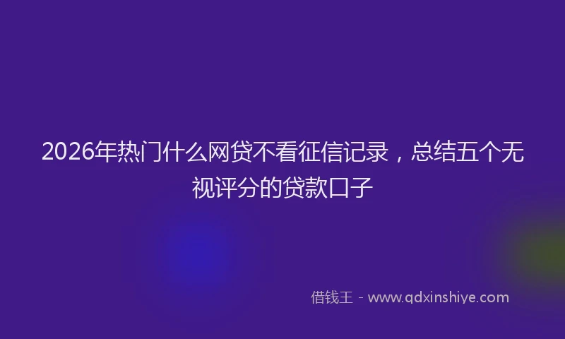 2026年热门什么网贷不看征信记录，总结五个无视评分的贷款口子