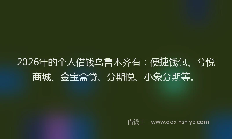 2026年的个人借钱乌鲁木齐有：便捷钱包、兮悦商城、金宝盒贷、分期悦、小象分期等。