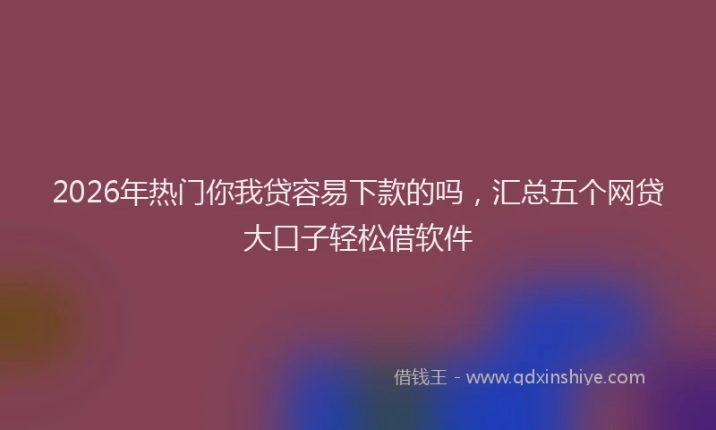 2026年热门你我贷容易下款的吗，汇总五个网贷大口子轻松借软件