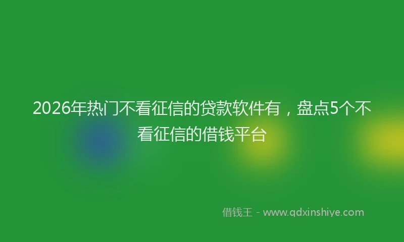 2026年热门不看征信的贷款软件有，盘点5个不看征信的借钱平台