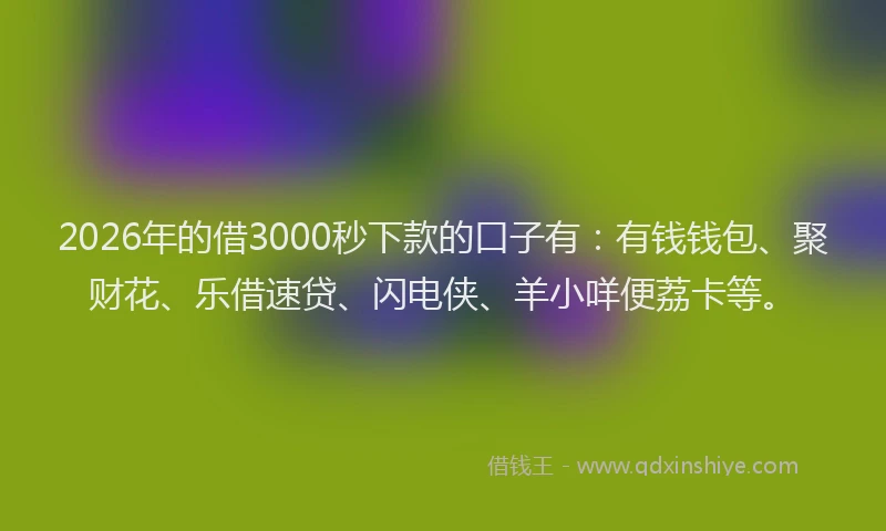 2026年的借3000秒下款的口子有：有钱钱包、聚财花、乐借速贷、闪电侠、羊小咩便荔卡等。