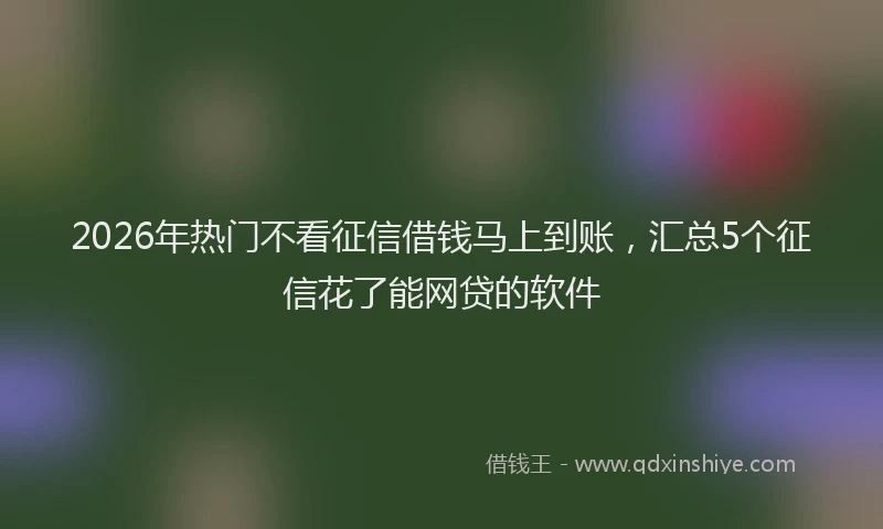 2026年热门不看征信借钱马上到账，汇总5个征信花了能网贷的软件