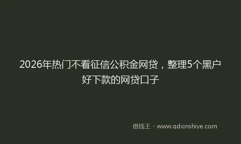 2026年热门不看征信公积金网贷，整理5个黑户好下款的网贷口子