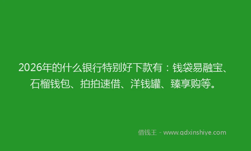 2026年的什么银行特别好下款有：钱袋易融宝、石榴钱包、拍拍速借、洋钱罐、臻享购等。
