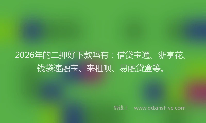 2026年的二押好下款吗有：借贷宝通、浙享花、钱袋速融宝、来租呗、易融贷盒等。