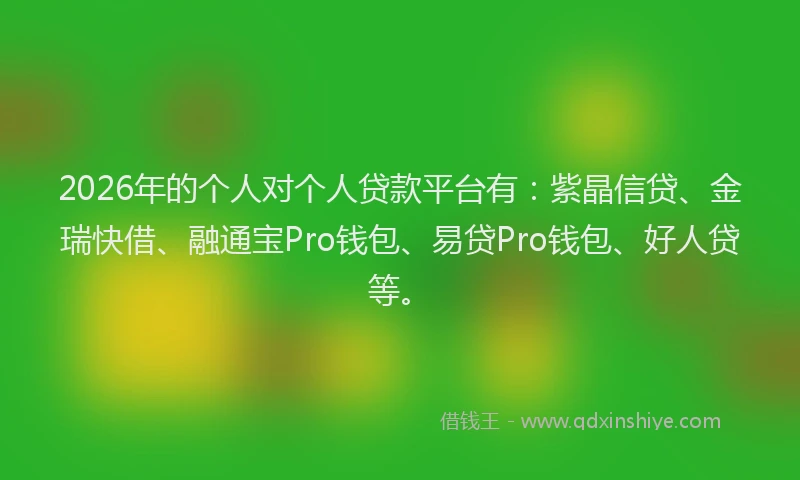 2026年的个人对个人贷款平台有：紫晶信贷、金瑞快借、融通宝Pro钱包、易贷Pro钱包、好人贷等。