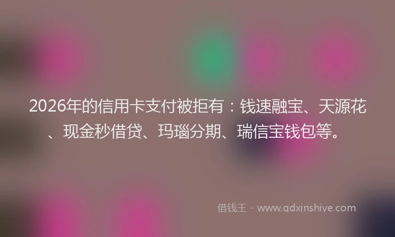 2026年的信用卡支付被拒有：钱速融宝、天源花、现金秒借贷、玛瑙分期、瑞信宝钱包等。