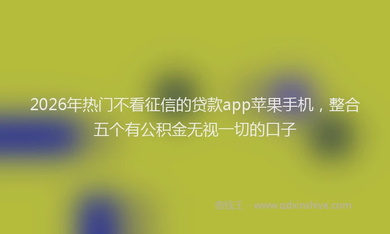 2026年热门不看征信的贷款app苹果手机，整合五个有公积金无视一切的口子