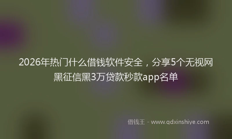 2026年热门什么借钱软件安全，分享5个无视网黑征信黑3万贷款秒款app名单