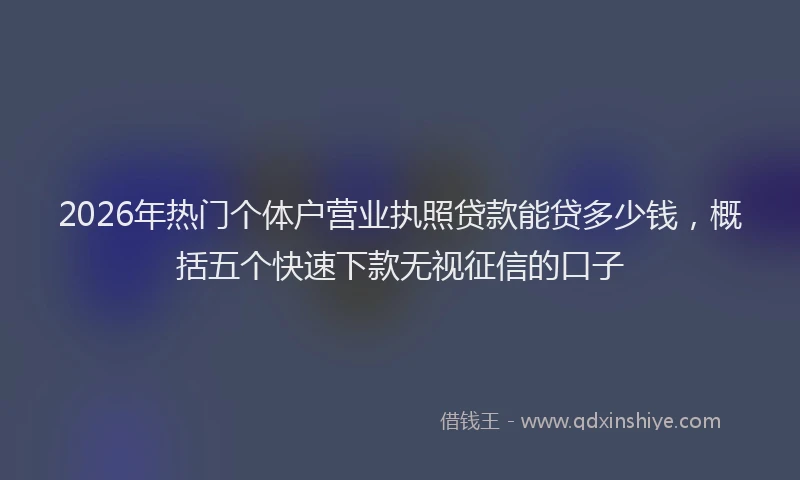 2026年热门个体户营业执照贷款能贷多少钱，概括五个快速下款无视征信的口子