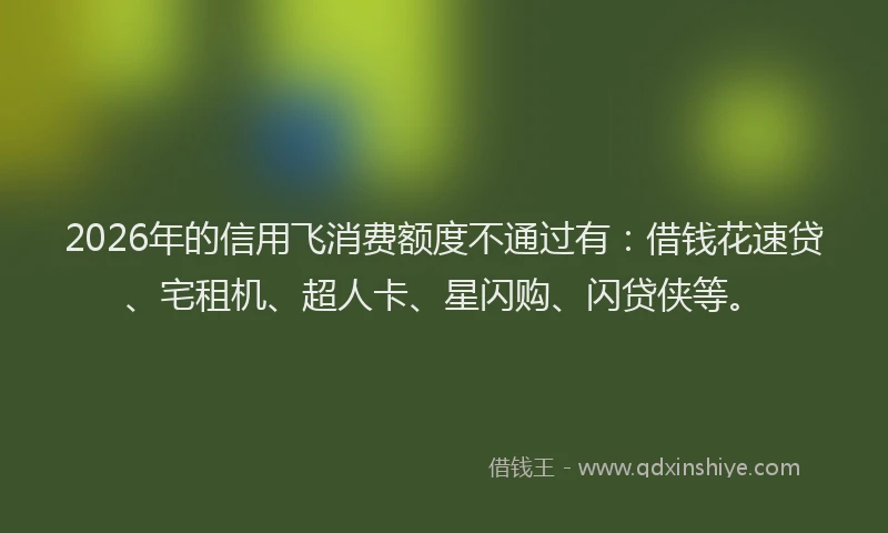 2026年的信用飞消费额度不通过有：借钱花速贷、宅租机、超人卡、星闪购、闪贷侠等。