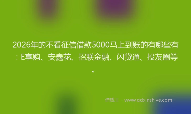 2026年的不看征信借款5000马上到账的有哪些有：E享购、安鑫花、招联金融、闪贷通、投友圈等。