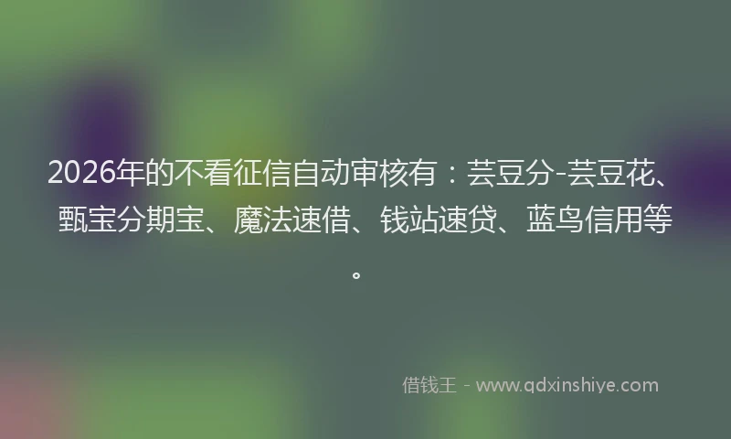 2026年的不看征信自动审核有：芸豆分-芸豆花、甄宝分期宝、魔法速借、钱站速贷、蓝鸟信用等。