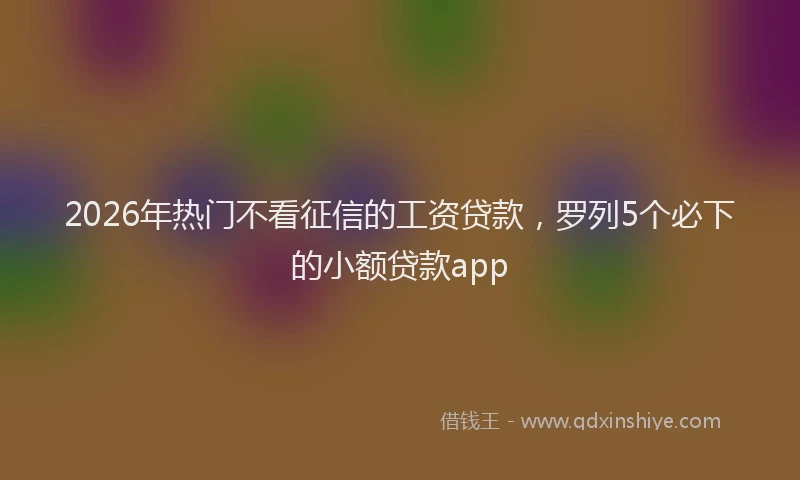 2026年热门不看征信的工资贷款，罗列5个必下的小额贷款app