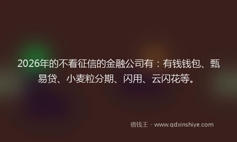 2026年的不看征信的金融公司有：有钱钱包、甄易贷、小麦粒分期、闪用、云闪花等。