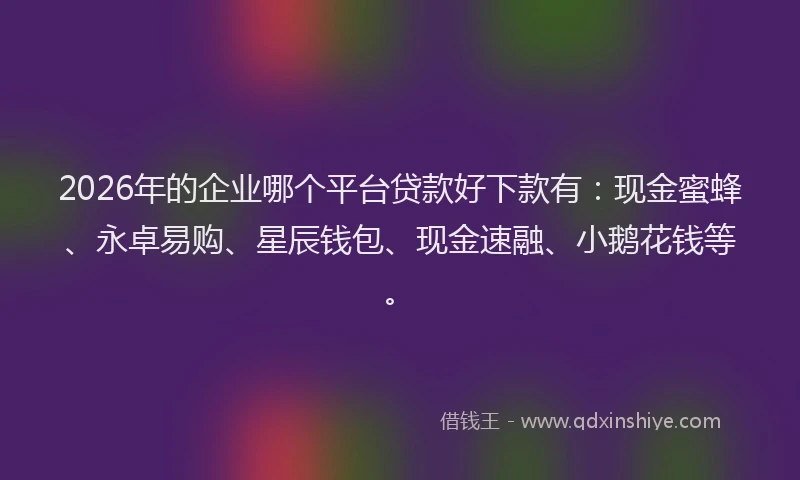 2026年的企业哪个平台贷款好下款有：现金蜜蜂、永卓易购、星辰钱包、现金速融、小鹅花钱等。