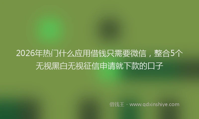 2026年热门什么应用借钱只需要微信，整合5个无视黑白无视征信申请就下款的口子
