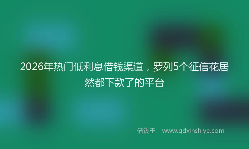 2026年热门低利息借钱渠道，罗列5个征信花居然都下款了的平台
