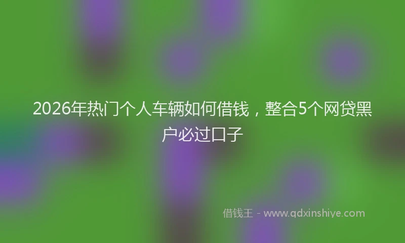 2026年热门个人车辆如何借钱，整合5个网贷黑户必过口子