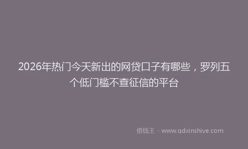 2026年热门今天新出的网贷口子有哪些，罗列五个低门槛不查征信的平台