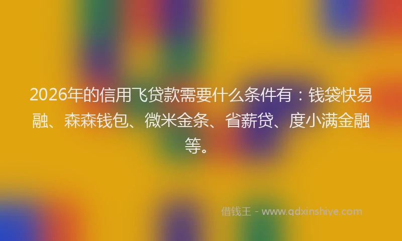 2026年的信用飞贷款需要什么条件有：钱袋快易融、森森钱包、微米金条、省薪贷、度小满金融等。