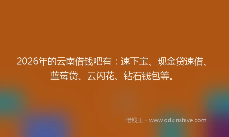 2026年的云南借钱吧有：速下宝、现金贷速借、蓝莓贷、云闪花、钻石钱包等。