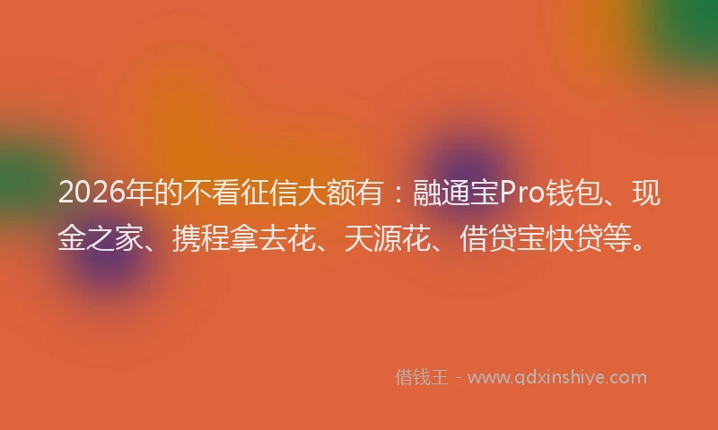 2026年的不看征信大额有：融通宝Pro钱包、现金之家、携程拿去花、天源花、借贷宝快贷等。