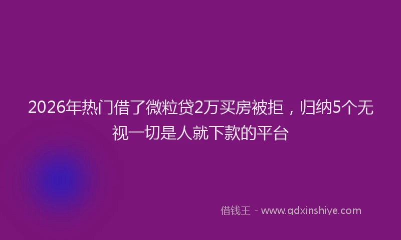 2026年热门借了微粒贷2万买房被拒，归纳5个无视一切是人就下款的平台