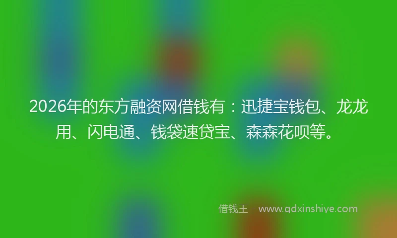 2026年的东方融资网借钱有：迅捷宝钱包、龙龙用、闪电通、钱袋速贷宝、森森花呗等。