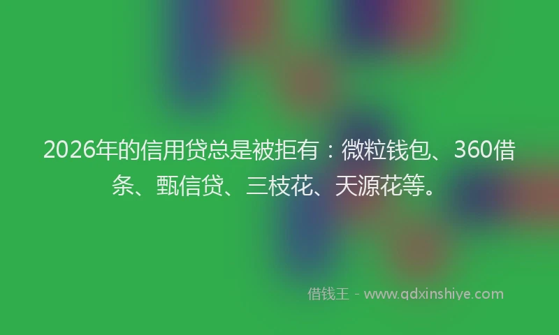 2026年的信用贷总是被拒有：微粒钱包、360借条、甄信贷、三枝花、天源花等。