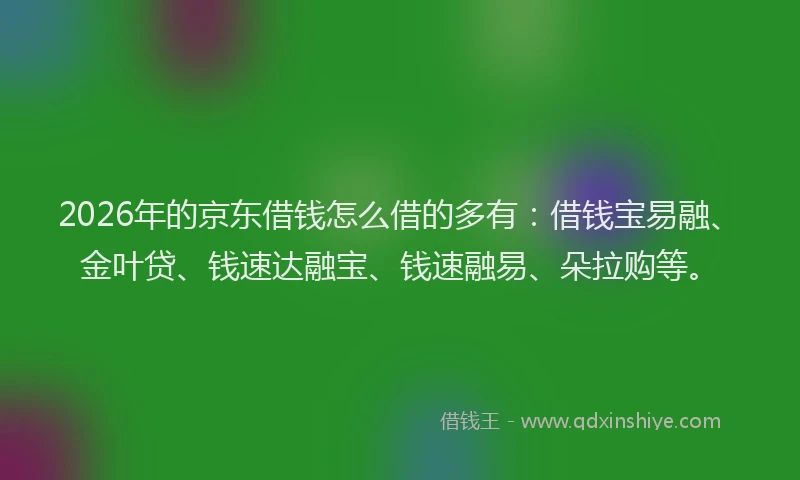 2026年的京东借钱怎么借的多有：借钱宝易融、金叶贷、钱速达融宝、钱速融易、朵拉购等。