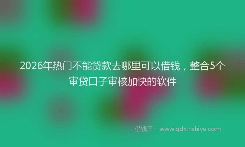 2026年热门不能贷款去哪里可以借钱，整合5个审贷口子审核加快的软件