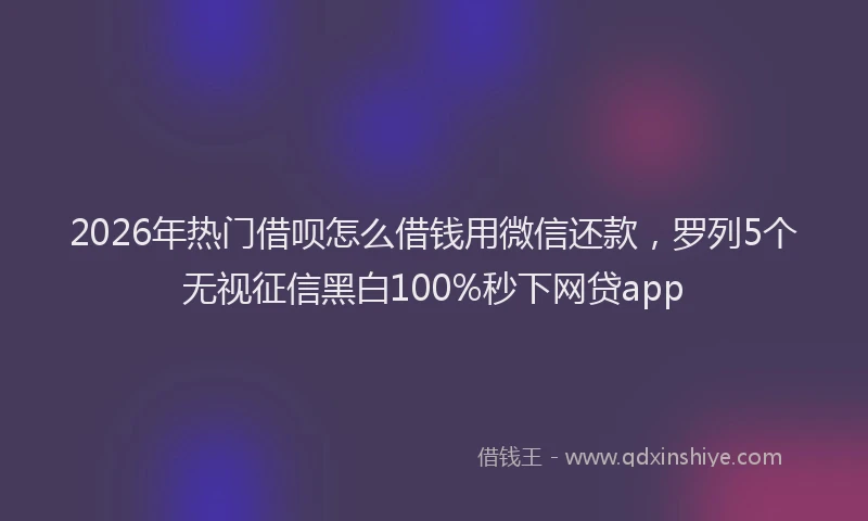 2026年热门借呗怎么借钱用微信还款，罗列5个无视征信黑白100%秒下网贷app