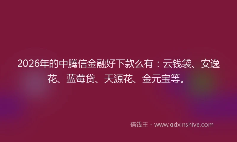 2026年的中腾信金融好下款么有：云钱袋、安逸花、蓝莓贷、天源花、金元宝等。