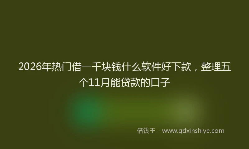 2026年热门借一千块钱什么软件好下款，整理五个11月能贷款的口子
