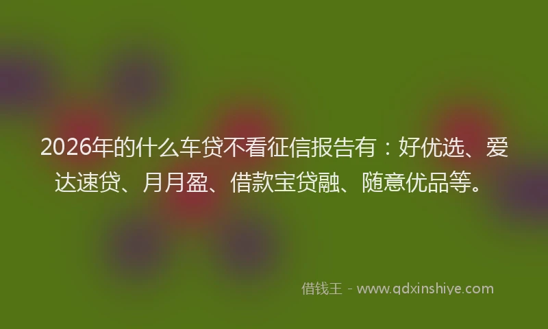 2026年的什么车贷不看征信报告有：好优选、爱达速贷、月月盈、借款宝贷融、随意优品等。