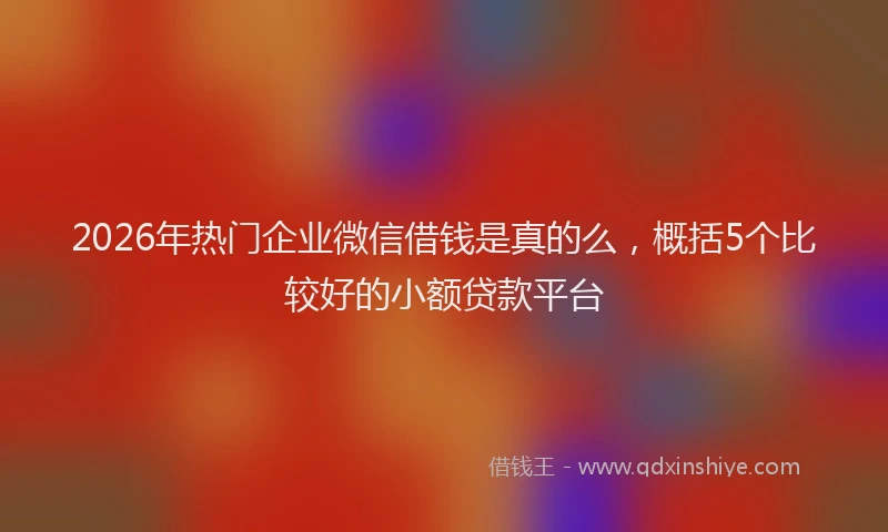 2026年热门企业微信借钱是真的么，概括5个比较好的小额贷款平台