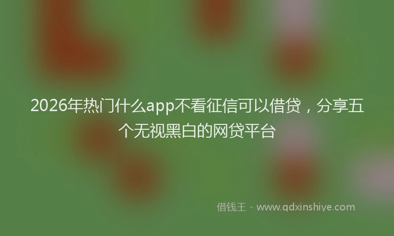 2026年热门什么app不看征信可以借贷，分享五个无视黑白的网贷平台