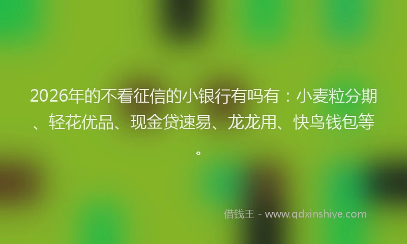 2026年的不看征信的小银行有吗有：小麦粒分期、轻花优品、现金贷速易、龙龙用、快鸟钱包等。