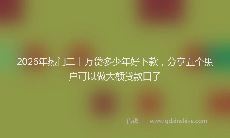 2026年热门二十万贷多少年好下款，分享五个黑户可以做大额贷款口子