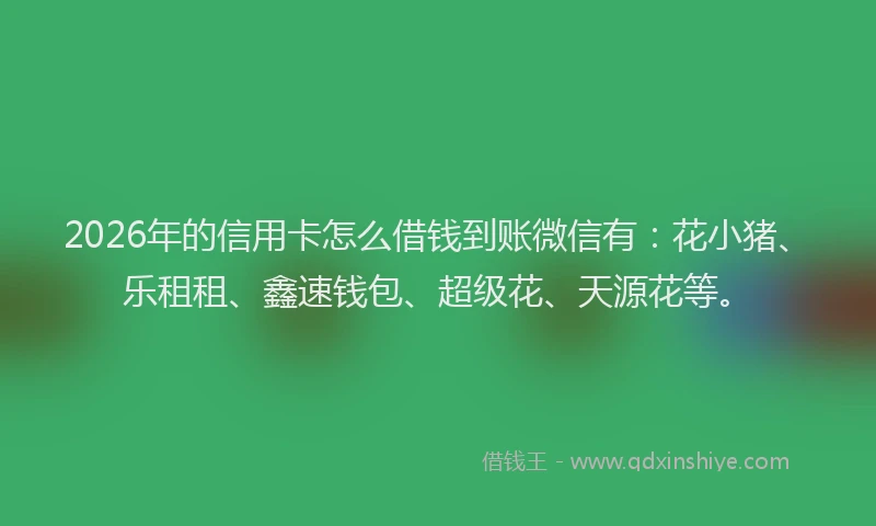 2026年的信用卡怎么借钱到账微信有：花小猪、乐租租、鑫速钱包、超级花、天源花等。