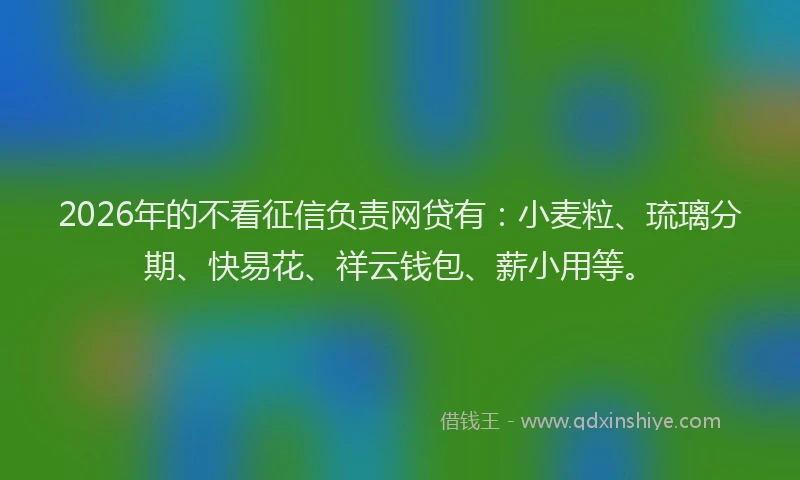 2026年的不看征信负责网贷有：小麦粒、琉璃分期、快易花、祥云钱包、薪小用等。