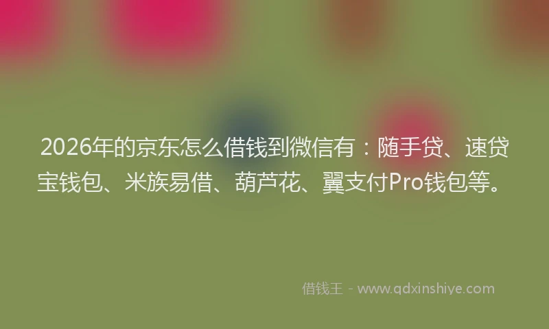 2026年的京东怎么借钱到微信有：随手贷、速贷宝钱包、米族易借、葫芦花、翼支付Pro钱包等。