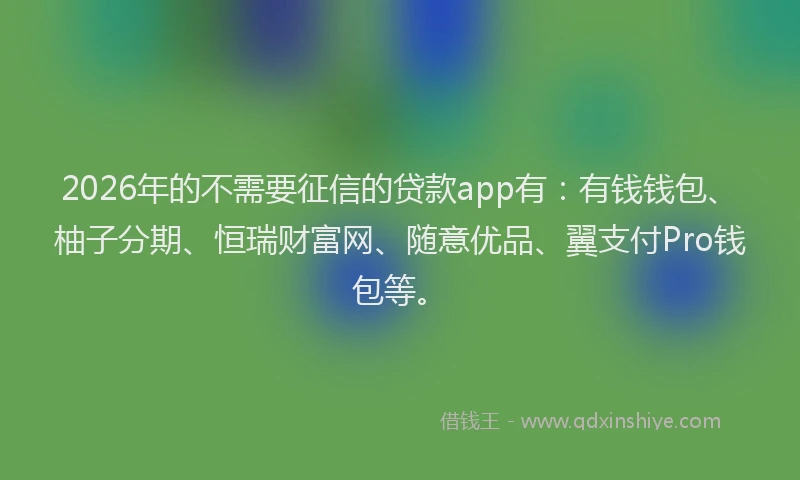 2026年的不需要征信的贷款app有：有钱钱包、柚子分期、恒瑞财富网、随意优品、翼支付Pro钱包等。