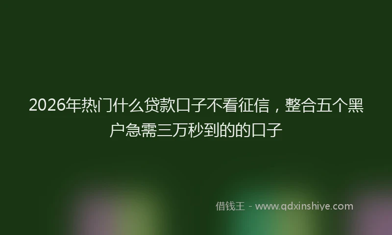2026年热门什么贷款口子不看征信，整合五个黑户急需三万秒到的的口子