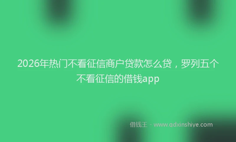 2026年热门不看征信商户贷款怎么贷，罗列五个不看征信的借钱app