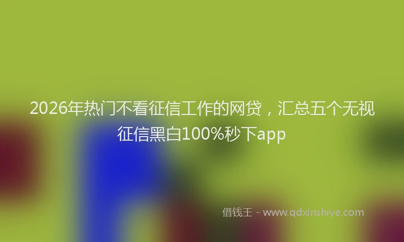 2026年热门不看征信工作的网贷，汇总五个无视征信黑白100%秒下app